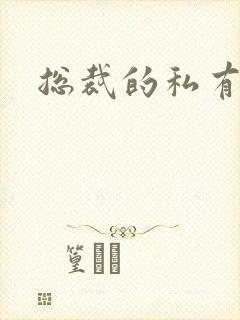 总裁的私有宝贝