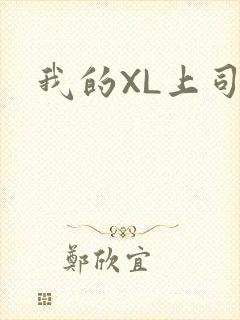 我的XL上司