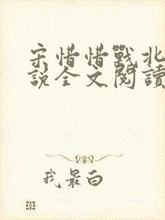 宋惜惜战北望小说全文阅读