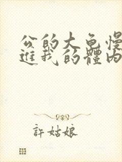 公的大龟慢慢挺进我的体内