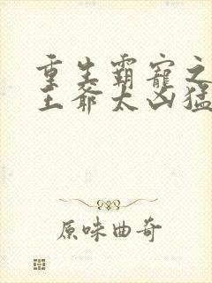 重生霸宠之摄政王爷太凶猛