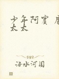 少年阿宾 房东太太