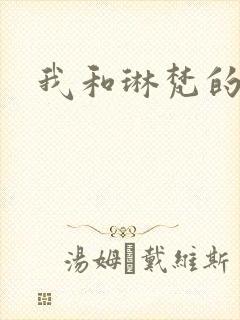 我和琳梵的故事