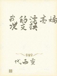 我的漂亮娇妻初次交换
