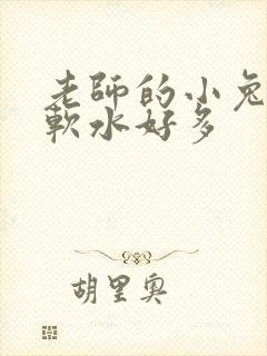 老师的小兔子好软水好多