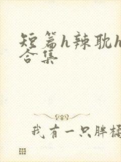 短篇h辣耽h文合集