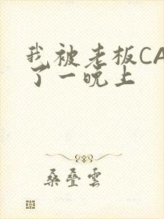 我被老板CAO了一晚上