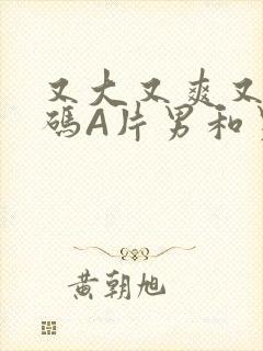 又大又爽又黄无码A片男和男