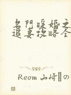 名门暖婚之权爷追妻攻略全文免费阅读