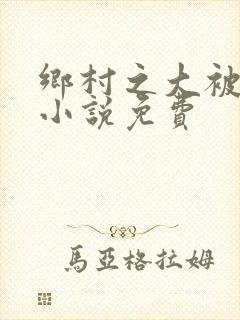 乡村之大被同眠小说免费