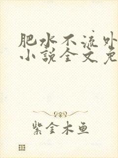 肥水不流外人田小说全文免费阅读1