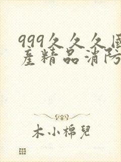 999久久久国产精品消防器材