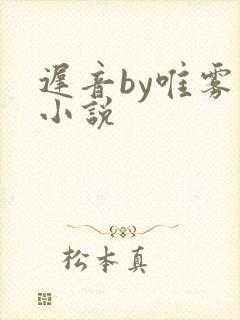 迟音by唯雾的小说