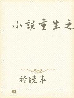 小说重生之官道