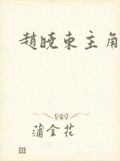 赵晓东主角小说