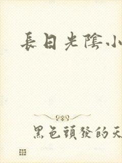 长日光阴小说