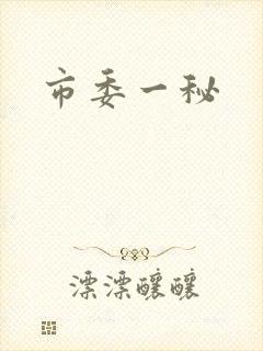 市委一秘