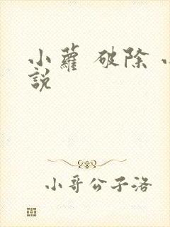 小萝 破除 小说