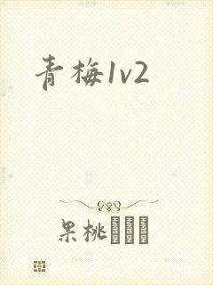 青梅1v2