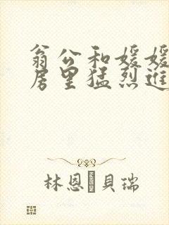 翁公和媛媛在厨房里猛烈进出