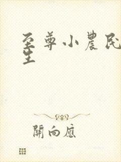 至尊小农民王木生