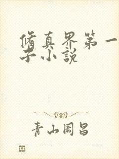 修真界第一病秧子小说