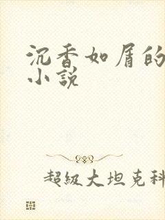 沉香如屑的原著小说