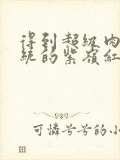 得到超级肉禽系统的紫岭红山