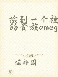 捡到一个被抹布的贵族omega