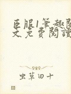 臣服1笔趣阁全文免费阅读无弹窗