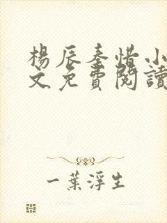 杨辰秦惜小说全文免费阅读最新