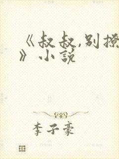 《叔叔,别撩我》小说