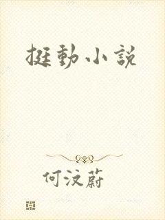 挺动小说