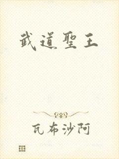 武道圣王
