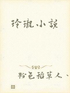 玲珑小说