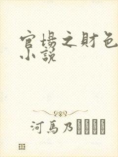 官场之财色诱人小说