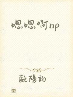 嗯嗯啊np