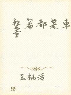 整篇都是车的文章