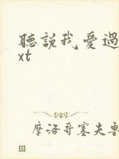 听说我爱过你txt