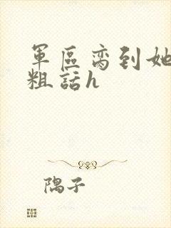 军区脔到她哭h粗话h