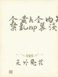 全黄h全肉短篇禁乱np慕浅浅