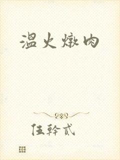 温火炖肉