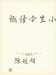 燃情今生小说