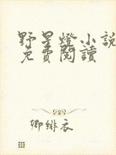 野星灯小说全文免费阅读