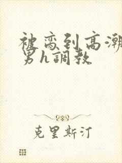 被脔到高潮的直男h调教