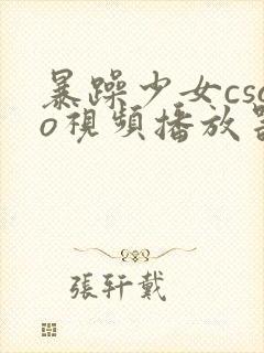 暴躁少女csgo视频播放器推荐