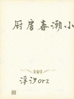 厨房春潮小说
