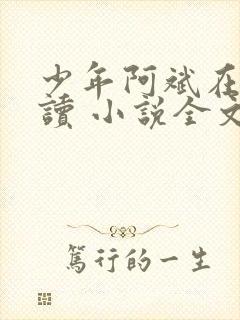 少年阿斌在线阅读 小说全文免费