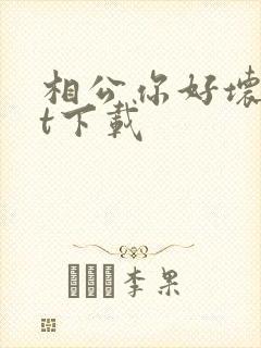 相公你好坏txt下载