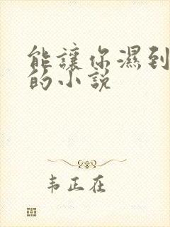 能让你湿到不行的小说